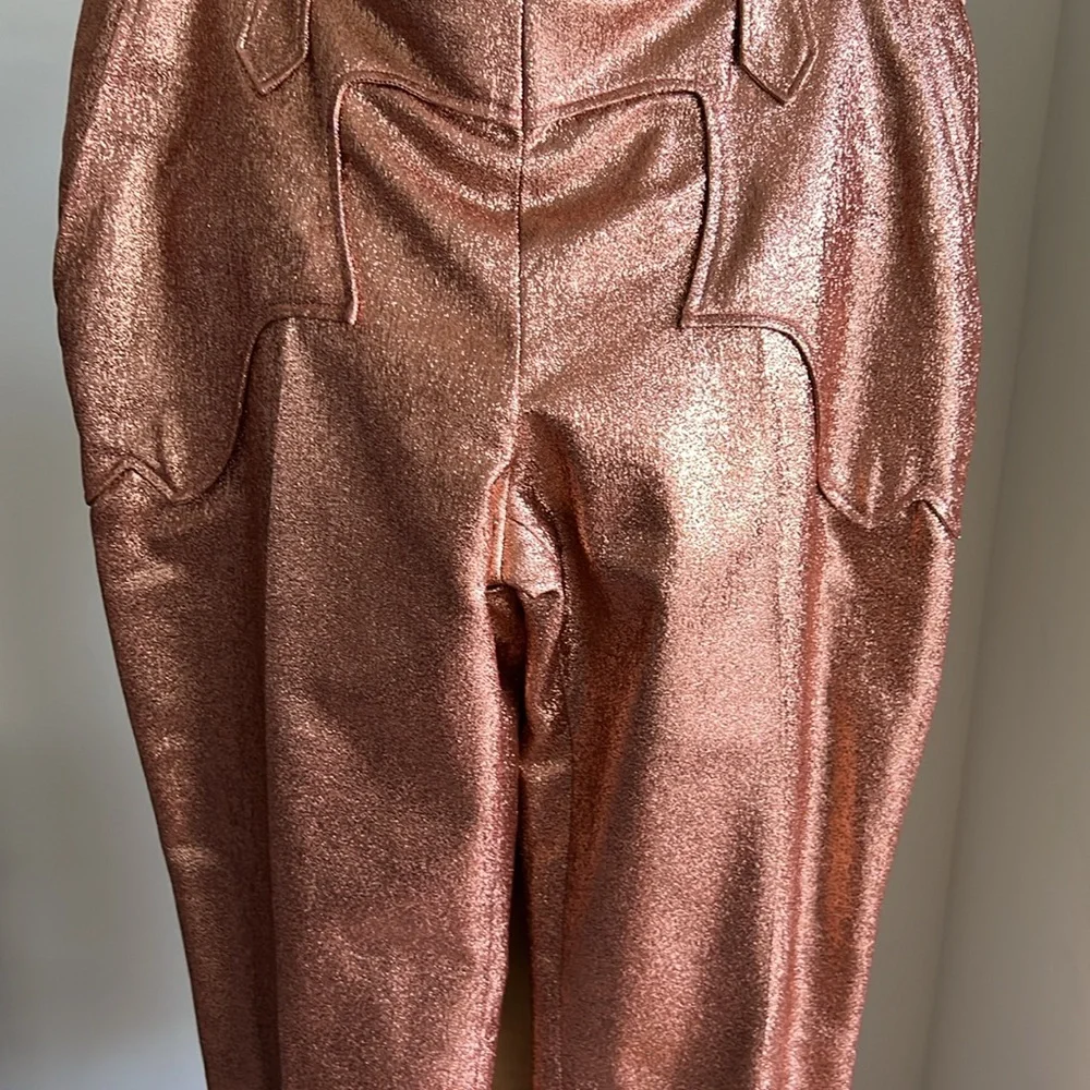 Tom Ford Iridescent Cowboy Cowgirl Western Pants Rodeo Rockabilly - Picture 7 of 17